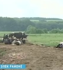 Аталану çул-йĕрне тупнă
