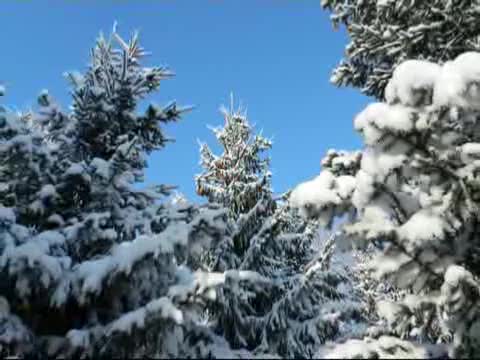 Тырă пĕрчĕрен пулать…