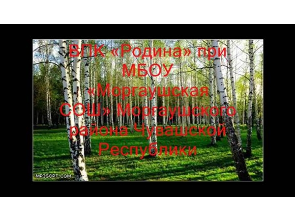 Визитка ВПК "Родина" при МБОУ "Моргаушская СОШ" Моргаушского района