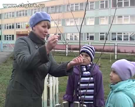 «Шевле» - «Солнечный зайчик». Выпуск 10.11.2012