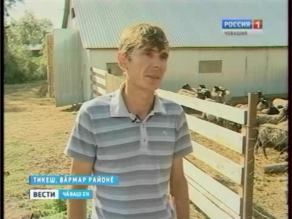 Чувашское телевидение у фермера Сергея Грачева в д. Тегешево (ГТРК Чувашия Вести Чaваш ен. Вечерний выпуск 10.09.2014)