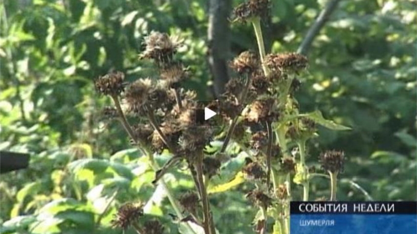 Бесхозное имущество может стать муниципальным