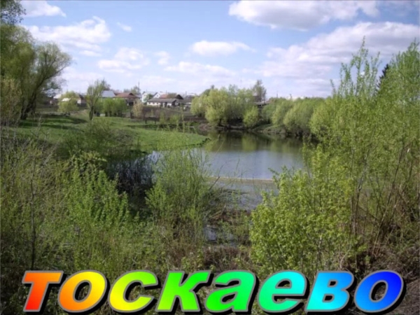 д. Тоскаево ансамбь "Шуҫӑм"