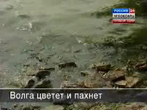 Засуха опять активизировала тему поднятия уровня водохранилища.