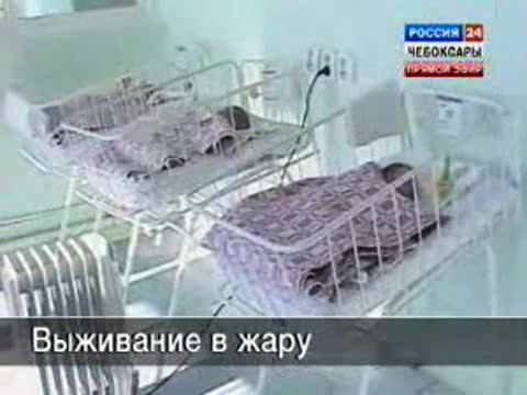 Это аномальное лето отразилось на здоровье маленьких горожан.