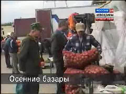 С 11 сентября в Чебоксарах заработают осенние ярмарки.