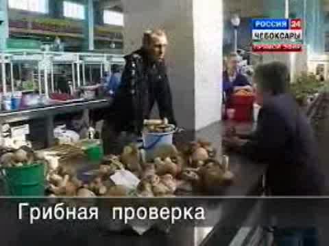 Начался грибной сезон.