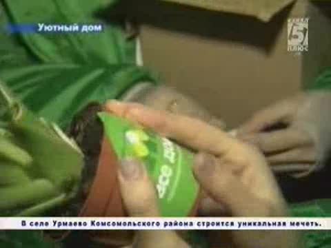 Уютным сделать подъезд многоквартирного дома пытаются участники проекта «Все дома»