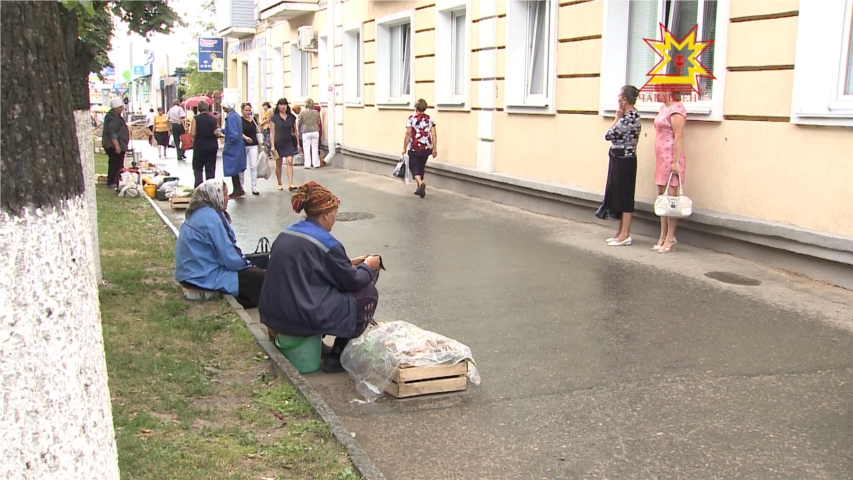 Борьба за «место под солнцем» продолжается