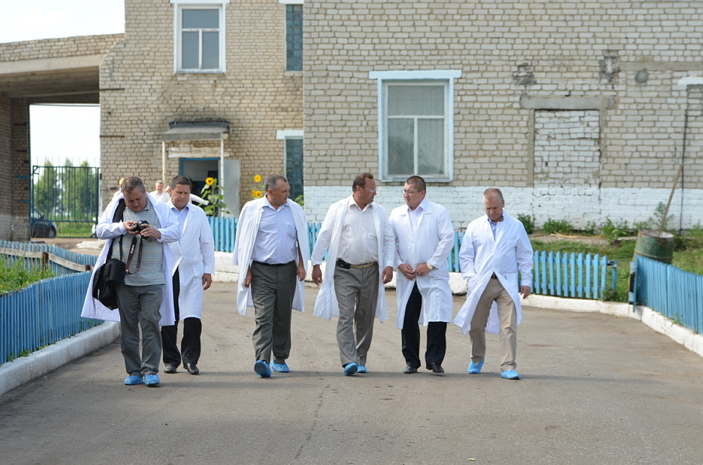 Свинокомплекс ни при чем (программа "Республика" НТРК Чувашии)
