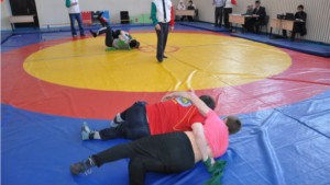 День спорта в Батыревском районе
