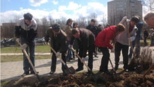 Посадка кустарников в сквере Журналистов