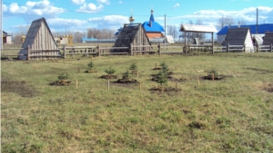 Посадка дерева в память о тех, кто не вернулся домой