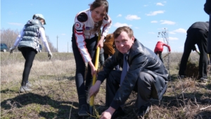 Глава Ядринской районной администрации Владимир Кузьмин вместе с детьми посадил деревья