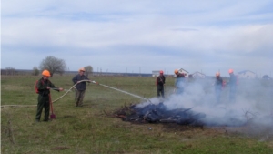 В Мариинско-Посадском и Канашском районах проведены тактико-специальные учения по тушению лесных пожаров