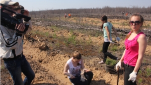 Акция по посадке леса в Заволжье в рамках Всероссийского Дня посадки леса
