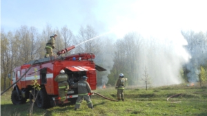 Пожарно-тактические учения в лесном массиве Цивильского лесничества