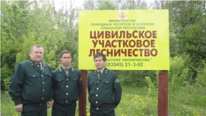 В рамках Единого информационного дня А.Яковлев посетил Цивильское участковое лесничество