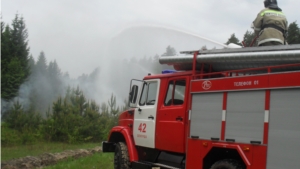 В Шемуршинском лесничестве прошли совместные тактико-специальные учения по тушению лесных пожаров