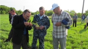 Приемка посевов - 2013