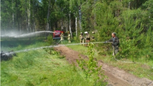 В КУ «Алатырское лесничество» Минприроды Чувашии прошли тактико-специальные учения по тушению лесных пожаров