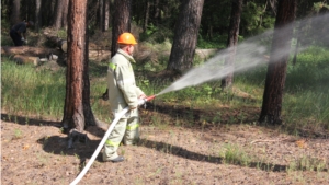В Шемуршинском районе прошли внеплановые учения по тушению лесных пожаров