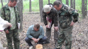 В Чебоксарском и Опытном лесничествах прошли коллективные тренировки по лесоустройству