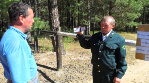 На территории Шемуршинского лесничества усилена охрана лесов от пожаров