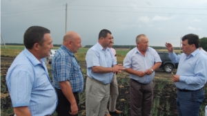 Батыревский район посетили Председатель Кабинета Министров и министр сельского хозяйства Чувашской Республики