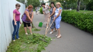 День санитарной культуры в Алатыре