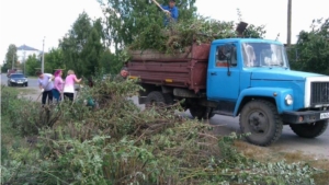 Субботник на ул. Маресьева и Пионерской