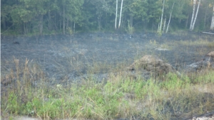 Возгорание вдоль железной дороги в Ибресинском районе было оперативно потушено