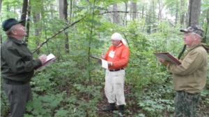 В Чебоксарском и Мариинско-Посадском лесничествах проводятся лесоустроительные работы