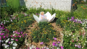 Новости из Аксариского сельского поселения поселения: цветы создают нам хорошее настроение