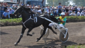 Всероссийские конно- спортивные соревнования в Батыревском районе