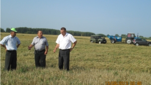 Сельхозтоваропроизводители Яльчикского района на стадии завершения уборки зерновых культур