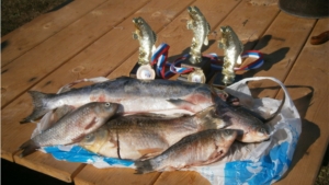 Состоялись ежегодные традиционные соревнования по ловле рыбы «Поплавок - 2013»