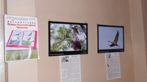 В Год охраны окружающей среды в музее открылась фотовыставка  «Птицы Красной книги Чувашской Республики»