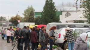 Сельскохозяйственная ярмарка выходного дня «Дары осени» воспринимается цивилянами на ура