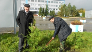 Работники Кирского лесничества в рамках акции «Живи, лес» заложили новый парк и провели экологический субботник