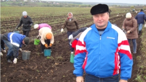 В Канашском районе на уборку картофеля мобилизовано все население