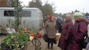 Интерес цивилян к ярмарочной распродаже сельхозпродукции не спадает