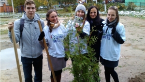 В рамках осеннего этапа Дня дерева состоялась закладка аллеи выпускников на территории школы № 62 г. Чебоксары