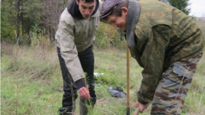 В Опытном лесничестве прошли мероприятия, приуроченные к акции «Живи, лес»