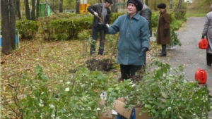 Работники городского парка принимают активное участие в акции «День дерева»