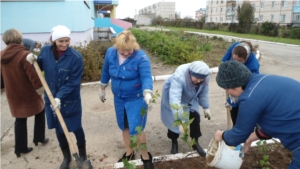 Экологический субботник в детском саде "Радуга"