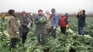 Организации Козловского района помогают фермерам в уборке урожая