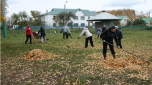 Работники администрации Яльчикского района вышли на экологический субботник
