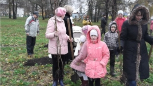 В детском парке Цивильска праздник  - День посадки деревьев