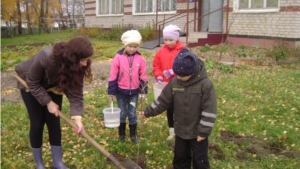 В городской библиотеке-филиале № 3 им. М. Сеспеля был проведен «День дерева»